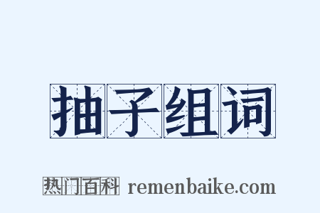 抽子组词是什么意思的图片